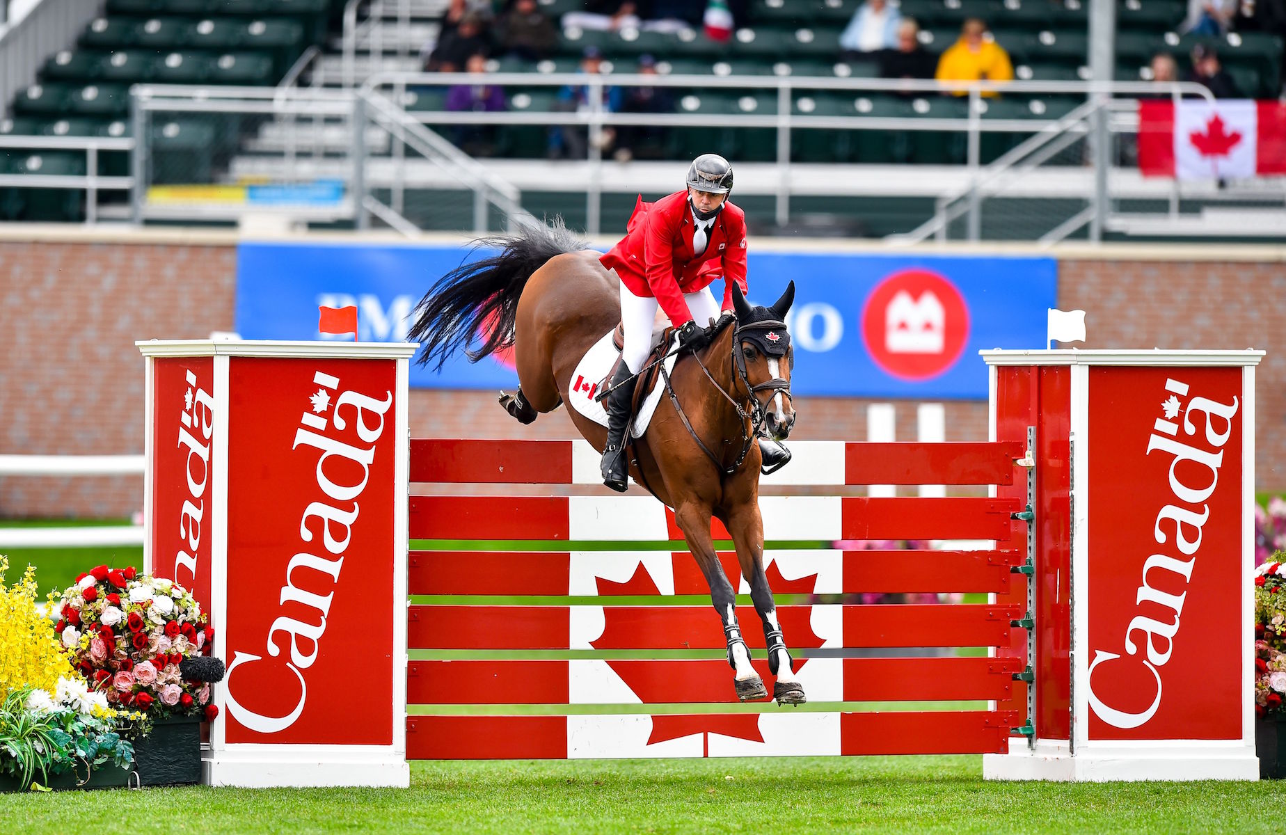 Spruce Meadows, MARKT. at the 'Masters